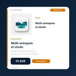 Multi-entrepôts et stocks